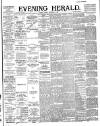 Evening Herald (Dublin) Tuesday 20 November 1894 Page 1