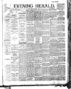 Evening Herald (Dublin) Tuesday 01 January 1895 Page 1