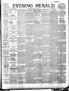 Evening Herald (Dublin) Friday 11 January 1895 Page 1