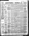 Evening Herald (Dublin) Tuesday 22 January 1895 Page 1