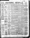 Evening Herald (Dublin) Thursday 24 January 1895 Page 1