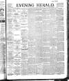 Evening Herald (Dublin) Tuesday 29 January 1895 Page 1