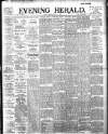 Evening Herald (Dublin) Friday 29 March 1895 Page 1