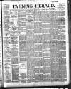 Evening Herald (Dublin) Friday 08 March 1895 Page 1