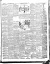 Evening Herald (Dublin) Monday 10 June 1895 Page 3