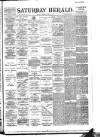 Evening Herald (Dublin) Saturday 15 June 1895 Page 1