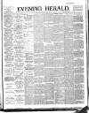 Evening Herald (Dublin) Tuesday 18 June 1895 Page 1