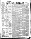 Evening Herald (Dublin) Wednesday 26 June 1895 Page 1