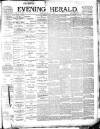 Evening Herald (Dublin) Monday 01 July 1895 Page 1