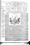 Evening Herald (Dublin) Saturday 12 October 1895 Page 3