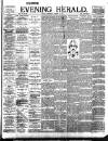 Evening Herald (Dublin) Wednesday 30 October 1895 Page 1
