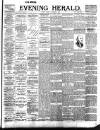 Evening Herald (Dublin) Tuesday 05 November 1895 Page 1