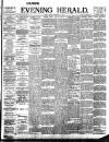 Evening Herald (Dublin) Friday 15 November 1895 Page 1