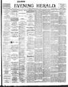 Evening Herald (Dublin) Thursday 02 January 1896 Page 1