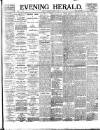 Evening Herald (Dublin) Thursday 05 March 1896 Page 1