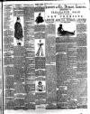 Evening Herald (Dublin) Saturday 09 January 1897 Page 3