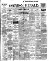 Evening Herald (Dublin) Wednesday 02 January 1901 Page 1