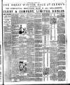 Evening Herald (Dublin) Saturday 12 January 1901 Page 3