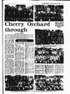 Evening Herald (Dublin) Tuesday 07 January 1986 Page 31