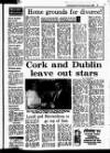 Evening Herald (Dublin) Wednesday 04 June 1986 Page 41