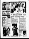 Evening Herald (Dublin) Monday 30 June 1986 Page 17