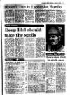 Evening Herald (Dublin) Monday 05 January 1987 Page 27