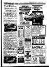 Evening Herald (Dublin) Tuesday 17 November 1987 Page 33