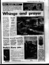 Evening Herald (Dublin) Monday 11 January 1988 Page 11