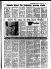 Evening Herald (Dublin) Saturday 16 January 1988 Page 33