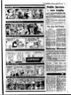 Evening Herald (Dublin) Thursday 28 January 1988 Page 43