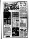 Evening Herald (Dublin) Wednesday 03 February 1988 Page 11