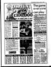 Evening Herald (Dublin) Thursday 04 February 1988 Page 7