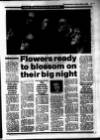Evening Herald (Dublin) Tuesday 01 March 1988 Page 17