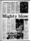 Evening Herald (Dublin) Monday 14 March 1988 Page 41