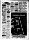 Evening Herald (Dublin) Saturday 19 March 1988 Page 13