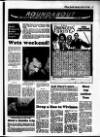 Evening Herald (Dublin) Saturday 19 March 1988 Page 23