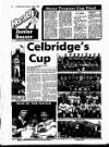 Evening Herald (Dublin) Tuesday 26 April 1988 Page 46