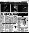 Evening Herald (Dublin) Thursday 07 July 1988 Page 23