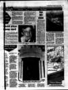 Evening Herald (Dublin) Tuesday 12 July 1988 Page 27