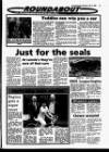 Evening Herald (Dublin) Saturday 16 July 1988 Page 23