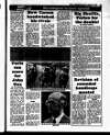 Evening Herald (Dublin) Thursday 01 September 1988 Page 43