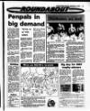 Evening Herald (Dublin) Saturday 17 September 1988 Page 23