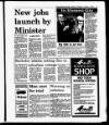 Evening Herald (Dublin) Tuesday 01 November 1988 Page 11