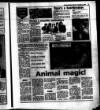 Evening Herald (Dublin) Thursday 03 November 1988 Page 23