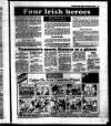 Evening Herald (Dublin) Friday 04 November 1988 Page 59