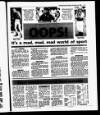Evening Herald (Dublin) Monday 12 December 1988 Page 45