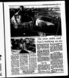 Evening Herald (Dublin) Tuesday 13 December 1988 Page 17