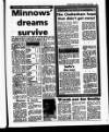 Evening Herald (Dublin) Monday 19 December 1988 Page 45