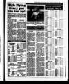 Evening Herald (Dublin) Wednesday 28 December 1988 Page 55
