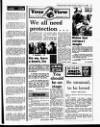 Evening Herald (Dublin) Tuesday 03 January 1989 Page 29